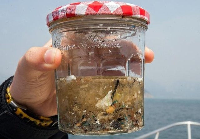 如果知道海洋中的塑料垃圾會(huì )進(jìn)入人類(lèi)肚子，你還會(huì )丟嗎？