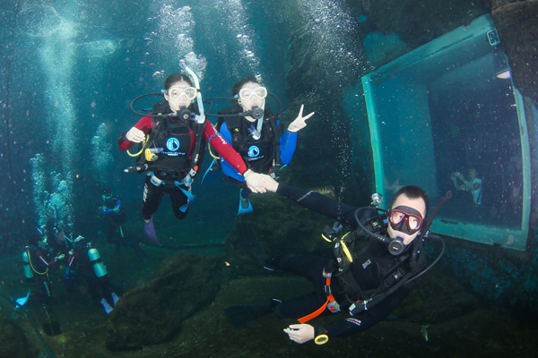 12/12正式上線(xiàn)！PADI 最新課程【休閑潛水員Resort Diver】 丨 一天拿證，潛遍全球