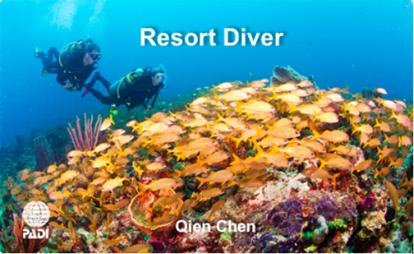 12/12正式上線(xiàn)！PADI 最新課程【休閑潛水員Resort Diver】 丨 一天拿證，潛遍全球