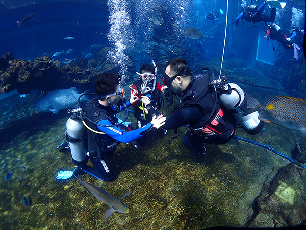 12/12正式上線(xiàn)！PADI 最新課程【休閑潛水員Resort Diver】 丨 一天拿證，潛遍全球