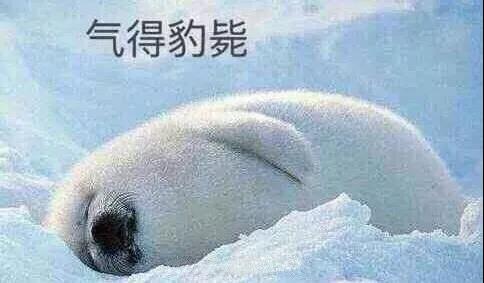 原來(lái)你是這樣的潛水員妹子！