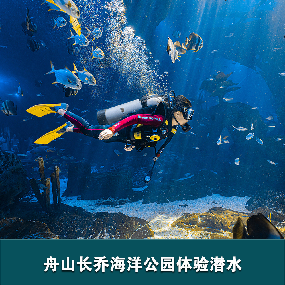 舟山長(cháng)喬海洋公園體驗潛水