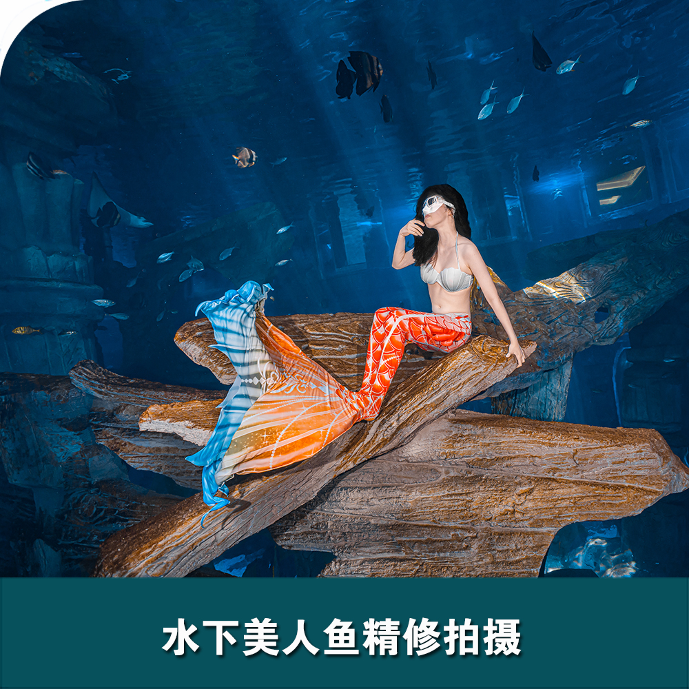 舟山長(cháng)喬海洋公園水下美人魚(yú)拍攝