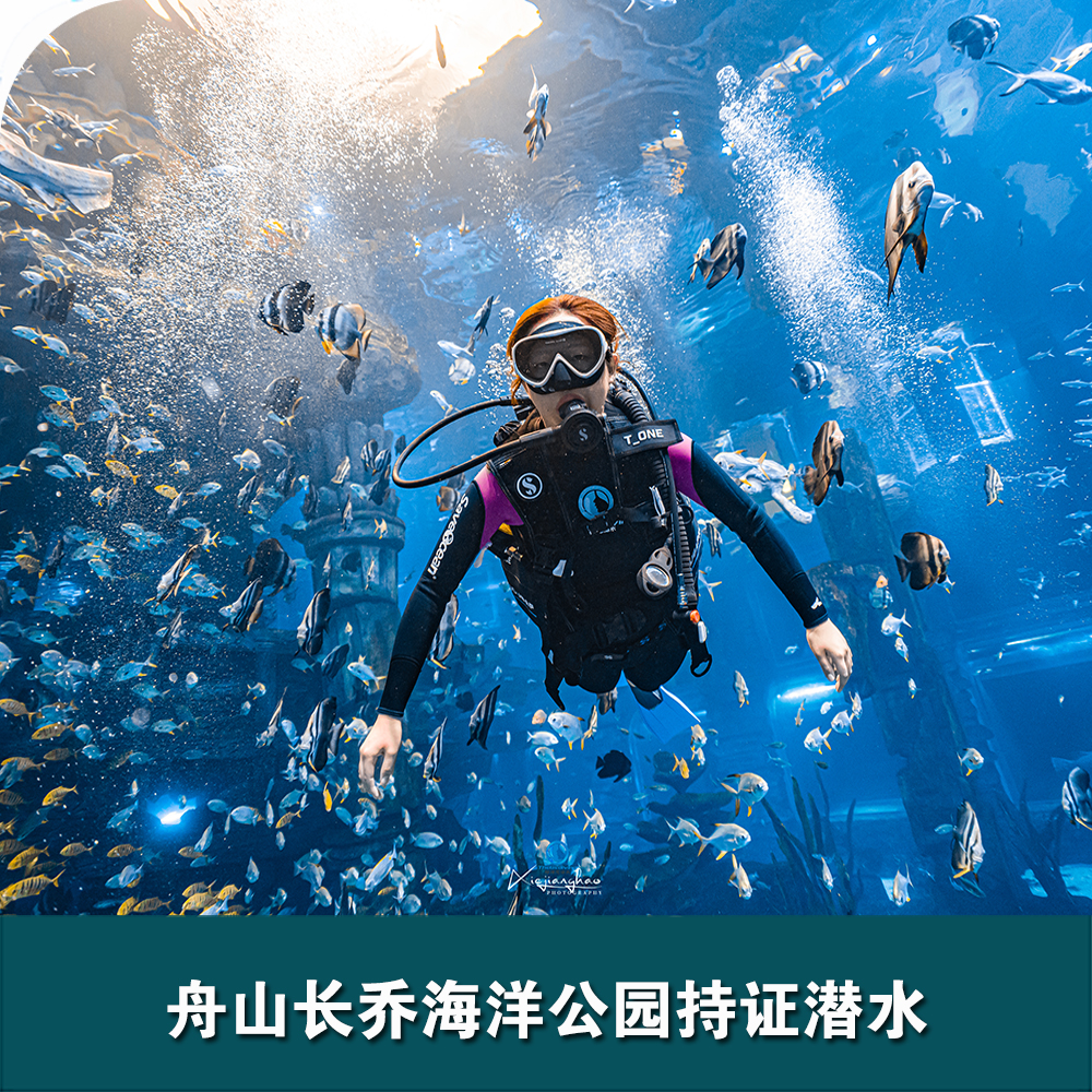 舟山長(cháng)喬海洋公園持證潛水